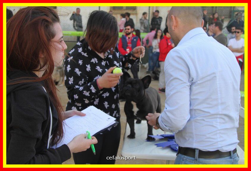 180311 mostra_canina 119.jpg